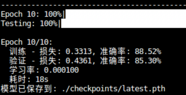 Epoch 10 训练输出