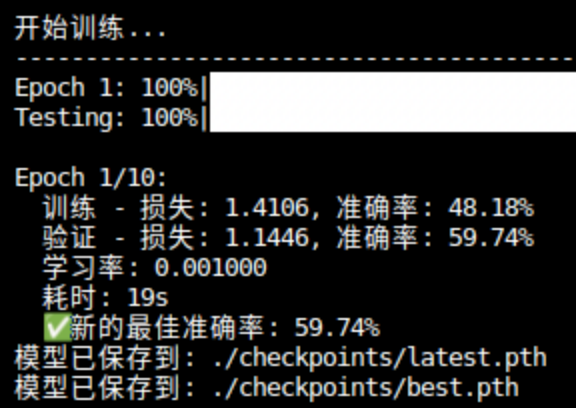 Epoch 1 训练输出